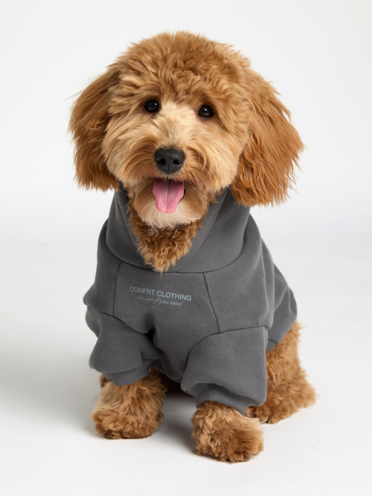 You Matter Paw Hoodie