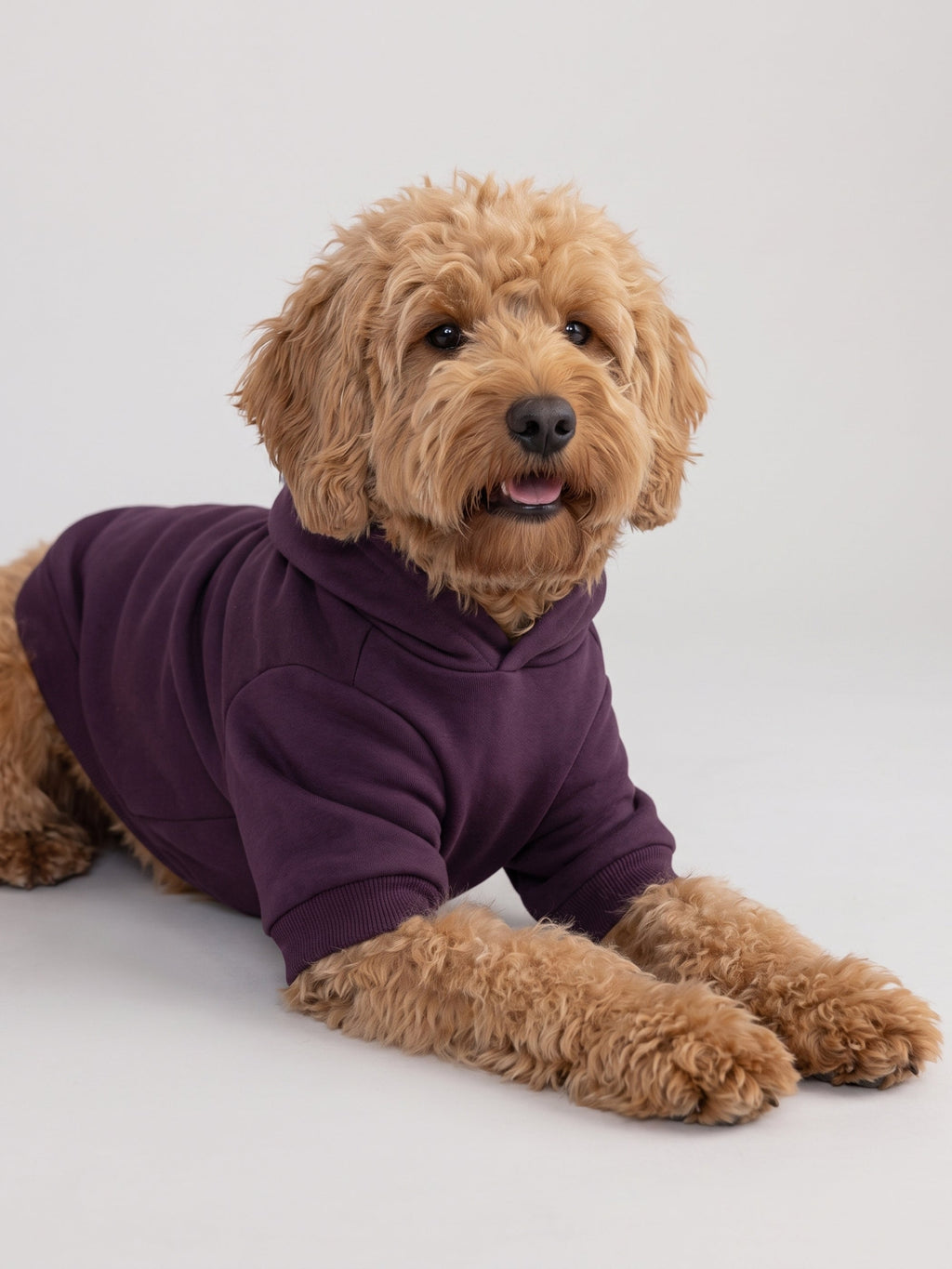 Minimalist Paw Hoodie