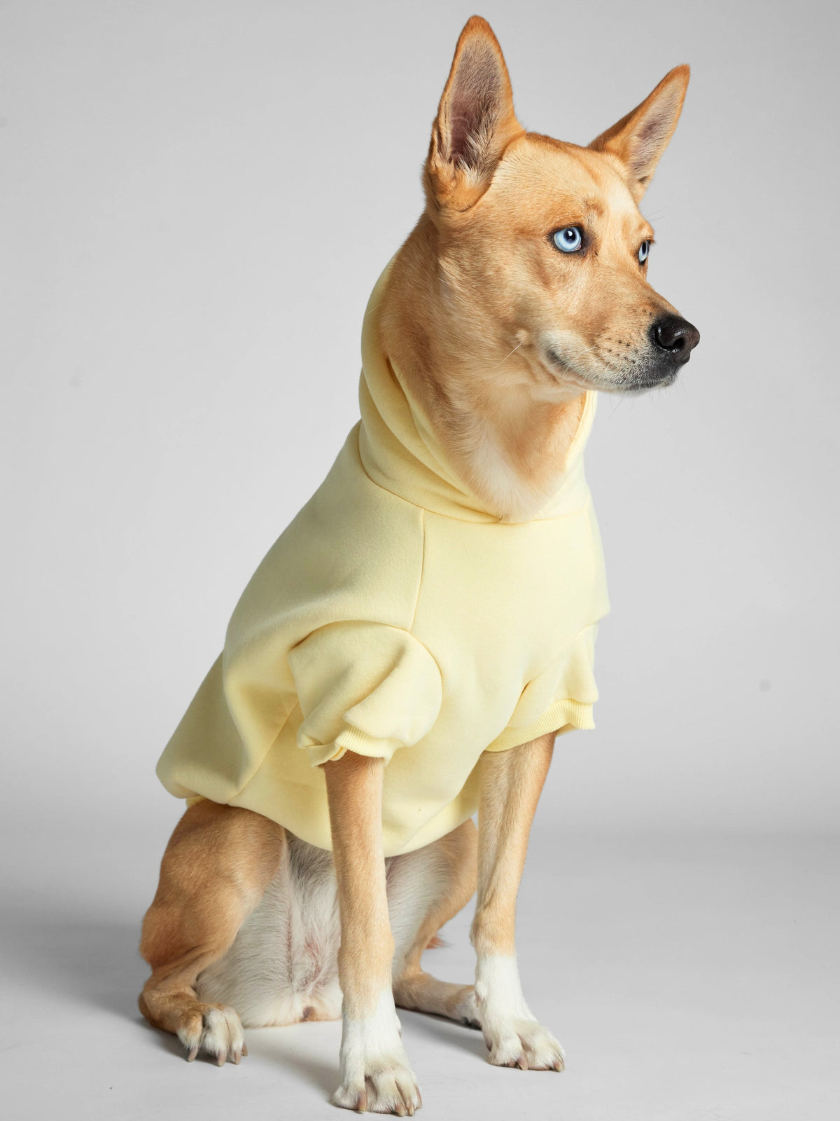 Minimalist Paw Hoodie