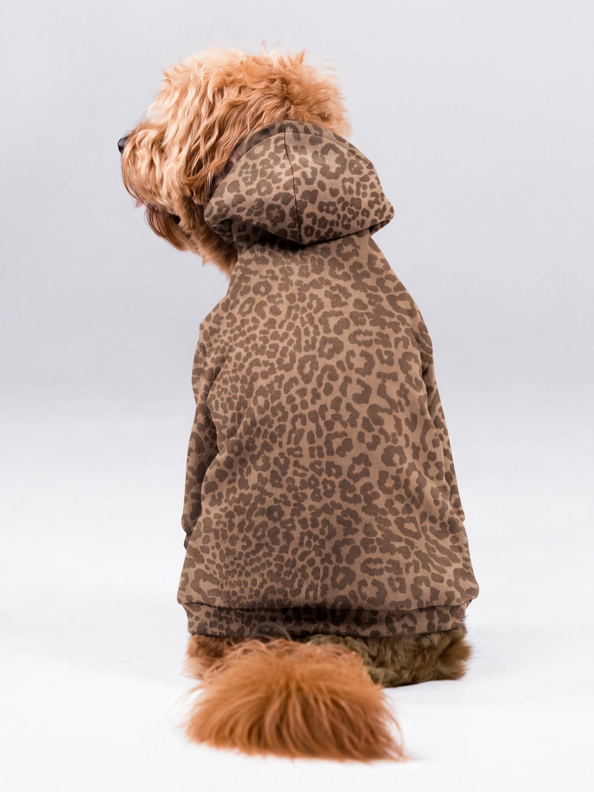 Signature Paw Hoodie