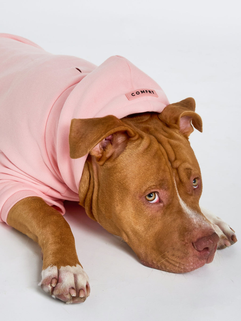 Pastel Paw Hoodie