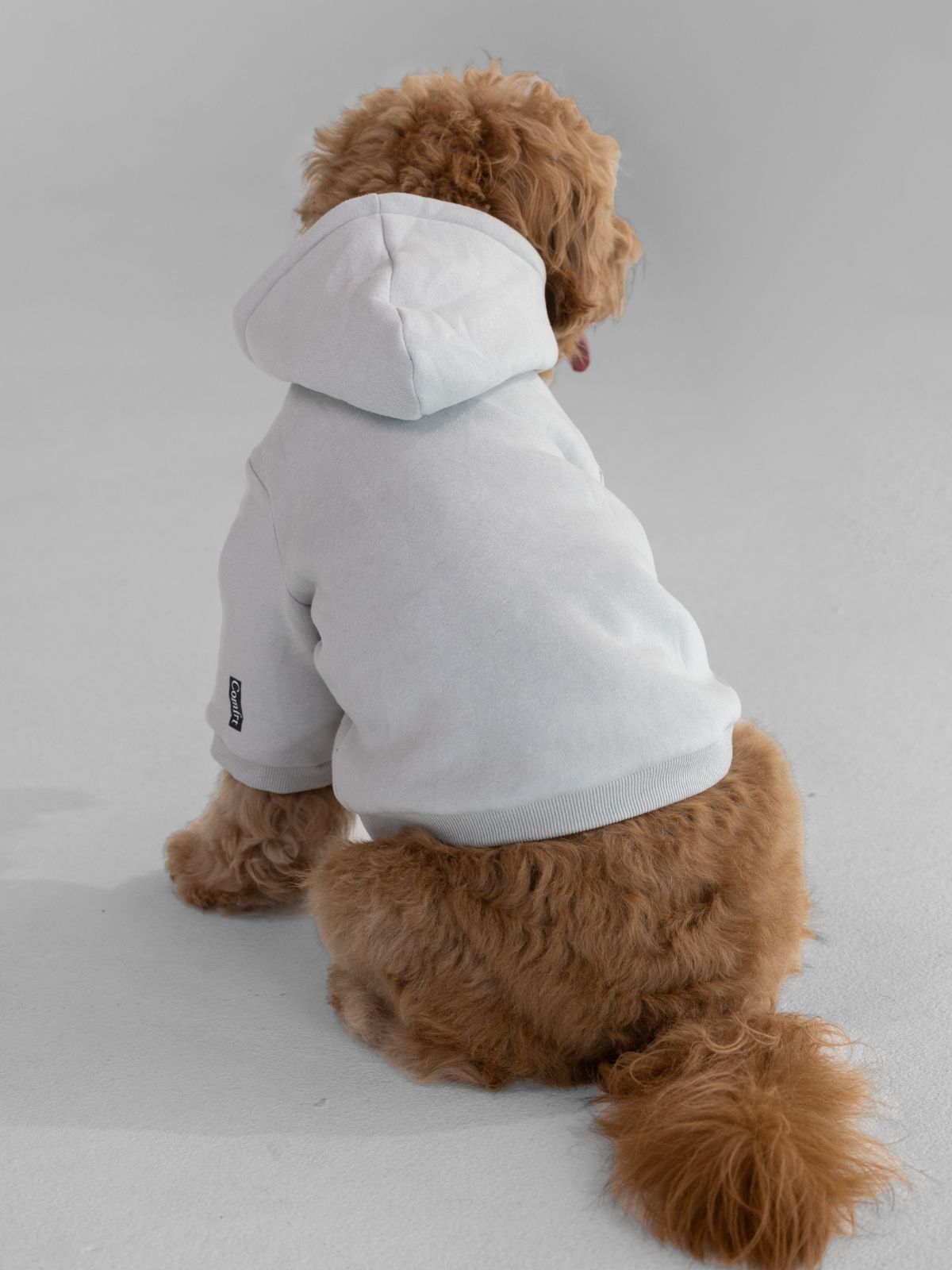 Standard Paw Hoodie